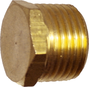 1/4 Inch NPT End Plug