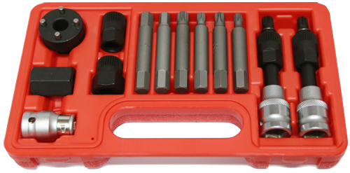 13 Piece Alternator Insert Bit Service Set