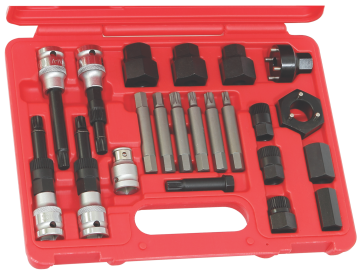 22 Piece Alternator Insert Bit Service Set