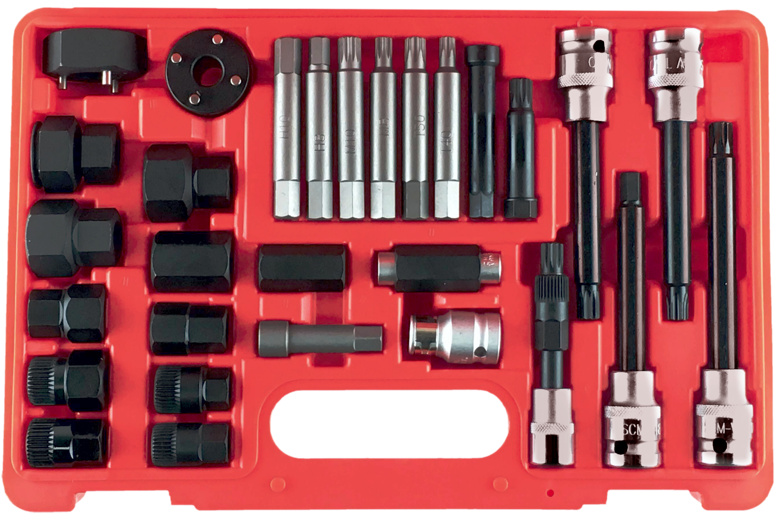 30 Piece Alternator Insert Bit Service Set