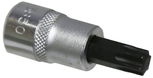 T50 3/8 Inch Drive Torx Driver Socket