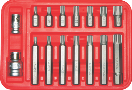 16 Piece Ribe Insert Bit Set 5-12mm 10mm Hex 30 & 75mm Long