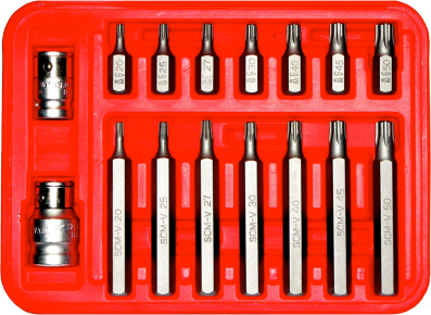 16 Piece Torx Plus Bit Set T20-T50 5/16 Inch Hex 30 & 75mm Long