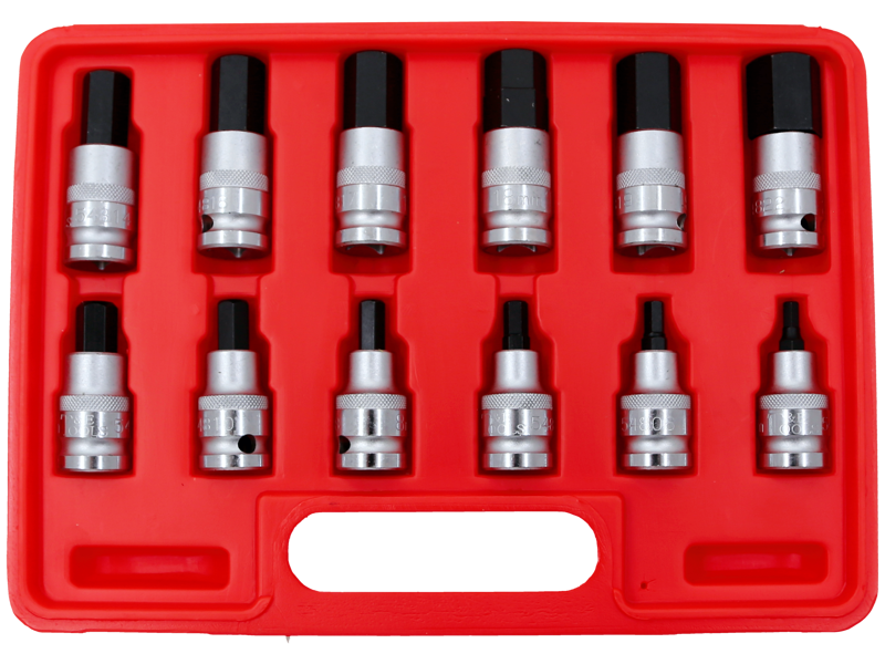 12 Piece Metric Inhex Socket Set 5-22mm.