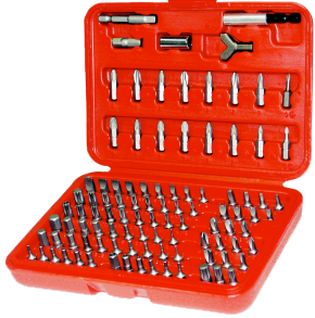 100 Piece 1/4 Inch Hex Bit Set