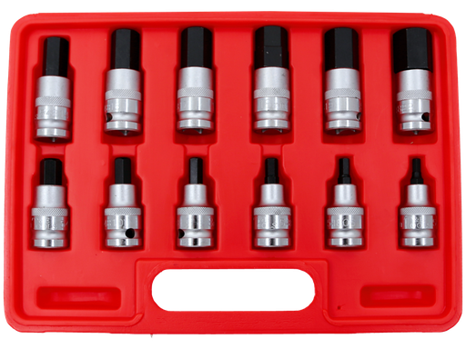 [159-94112] 12 Piece Metric Inhex Socket Set 5-22mm.