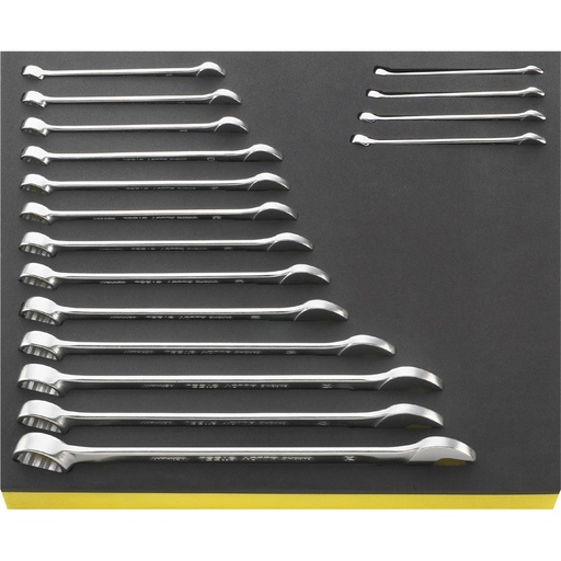 [160-96830164] Spanner Combo Metric Set 17pc #13 6-24mm Tcs Foam - 96830164 SW13/17 Tcs